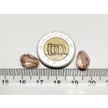 Csiszolt csepp alakú üveggyöngy-pár - Halvány rózsaszín - 11x8mm