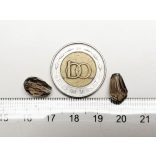 Csiszolt csepp alakú üveggyöngy-pár - Füstszínű - 11x8mm