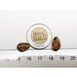 Csiszolt csepp alakú üveggyöngy-pár - Borostyán AB - 11x8mm