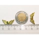 Szivecskés arany színű angyalszárny (22mm)