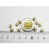 Üvegtekla - Ekrü - 6mm- 10 db