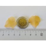 Fakó sárga levél (24mm)