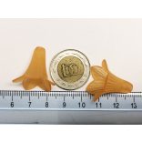 Nagy HARANGVIRÁG - narancssárga