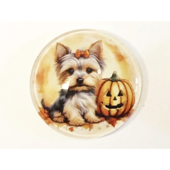 Halloween kaboson 25mm -  Yorki